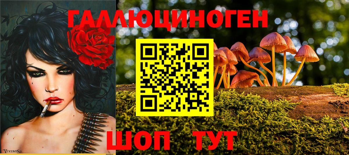 где купить наркоту  Вход с VPN  Великий Новгород  Галлюциногенные грибы GOLDEN TEACHER 